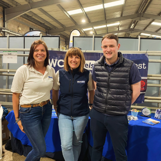 Sponsoring the Wrestling Ring at Westmorland Show 